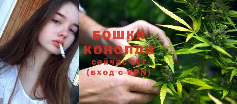 Шишки марихуана OG Kush  Мыски 